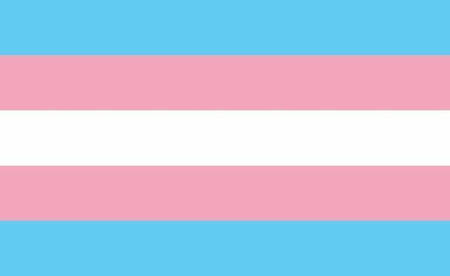 transgender a flag that has five stripes. the top and bottom two stripes are light blue, while the lines that are below it are light pink. the middle line is white.