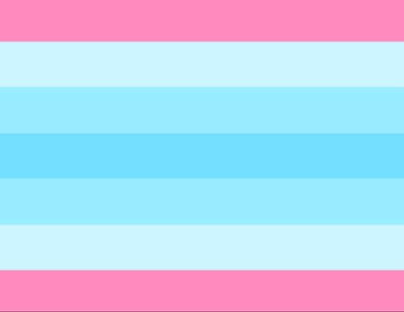 transmasculine a flag that has seven stripes. the top and bottom stripes are pink, while the stripes after it are increasingly darker shades of blue.